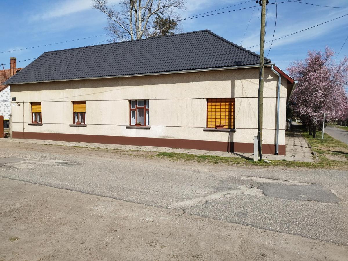 Tartos Szegfu Vendeghaz, Maganszallas Tazlar Luaran gambar