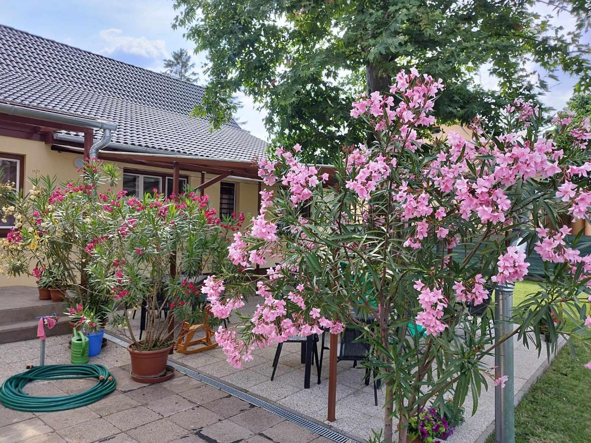 Tartos Szegfu Vendeghaz, Maganszallas Tazlar Luaran gambar