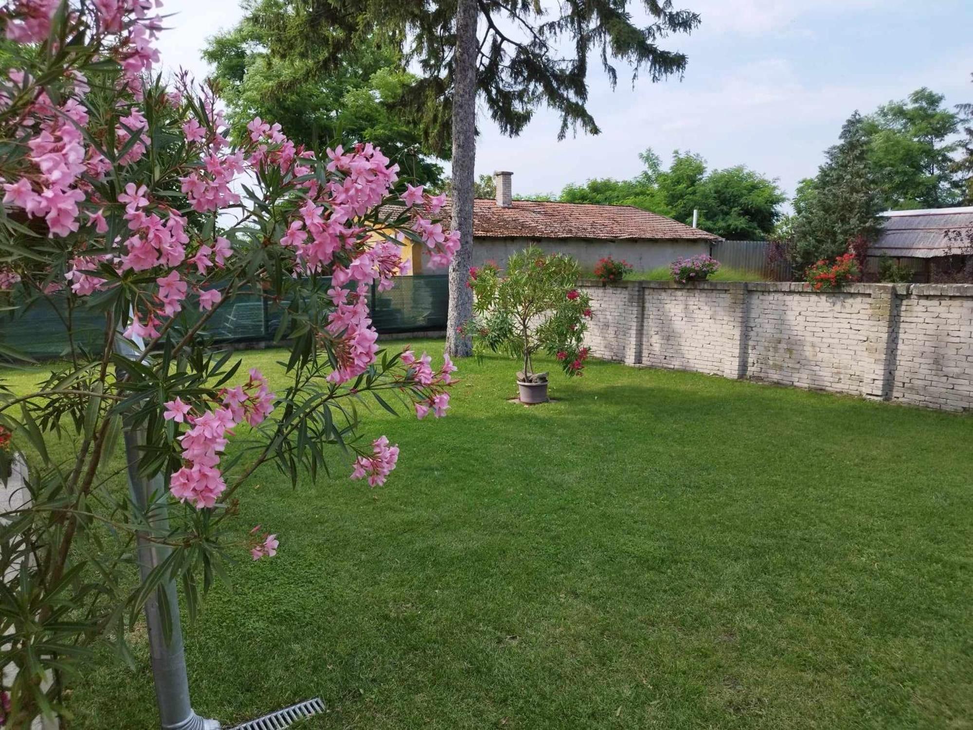 Tartos Szegfu Vendeghaz, Maganszallas Tazlar Luaran gambar